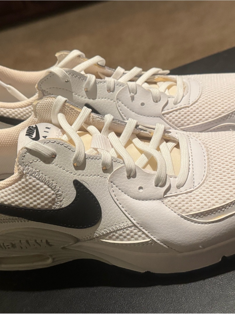 Nike White Sneakers with Black Swoosh